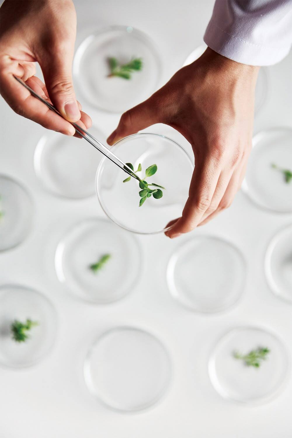 ретинол в капсулах