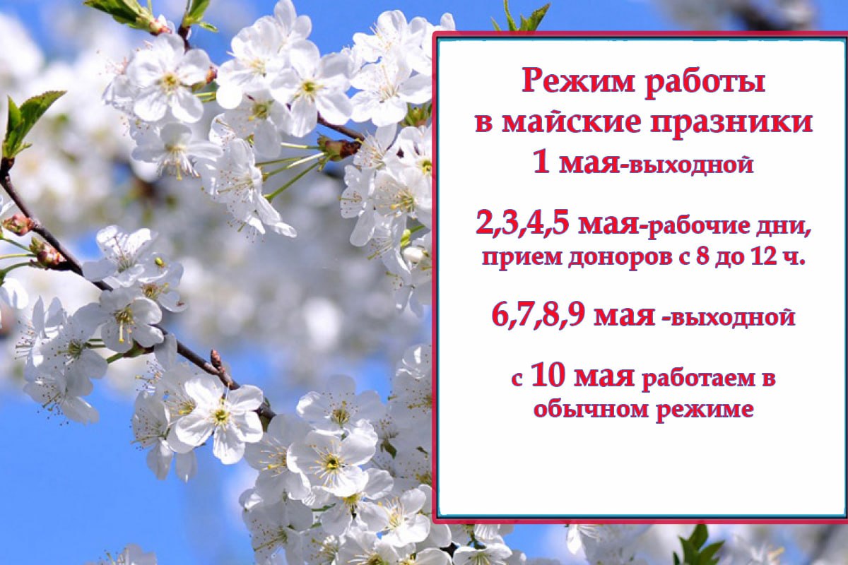 Как выпадают майские праздники на 2024 год. Майские праздники. Майские выходные дни. Рабочие майские. Отдых на майские праздники.