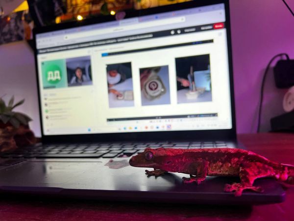 Интенсив фото 6