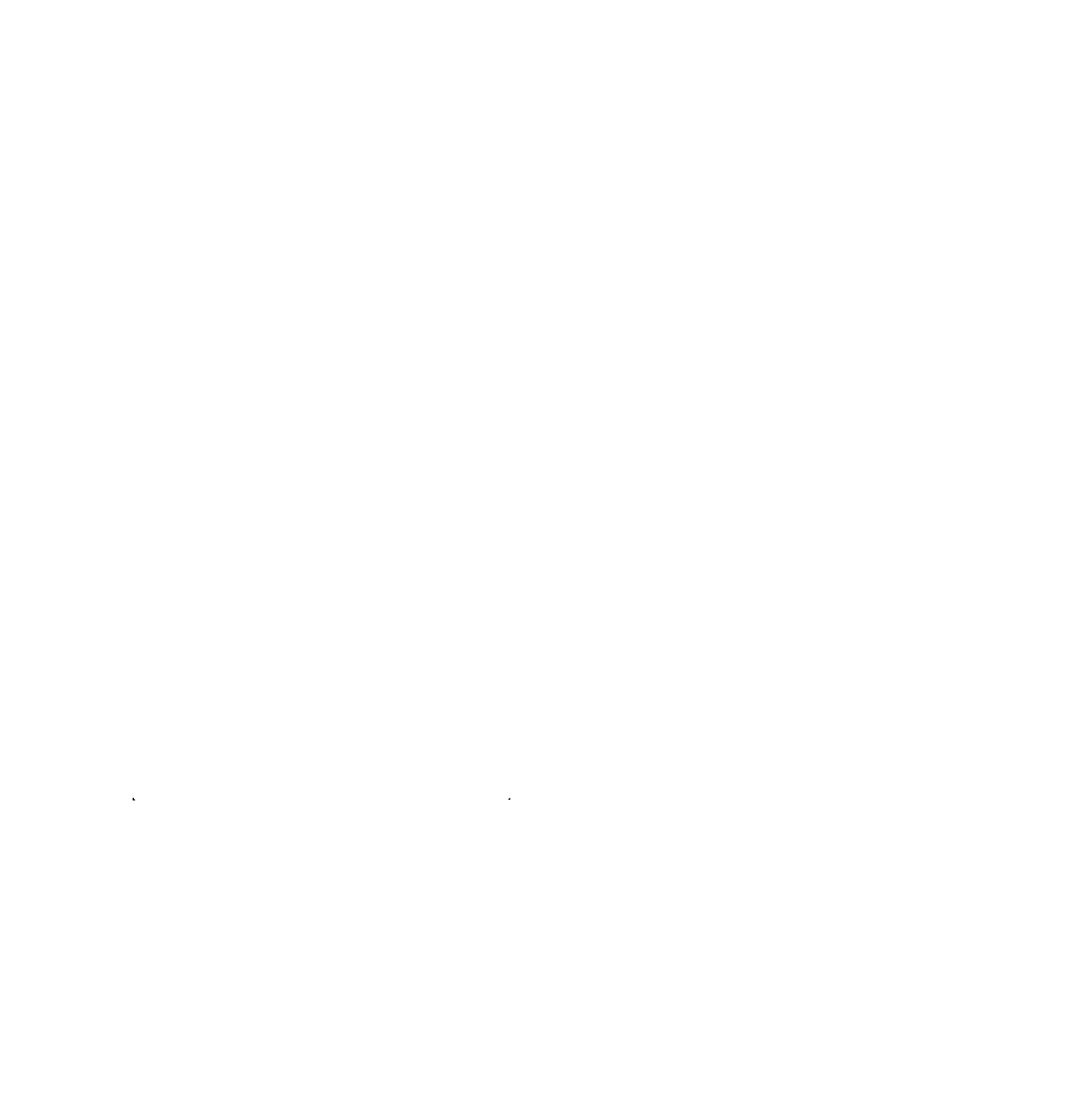 Лето с Половинками