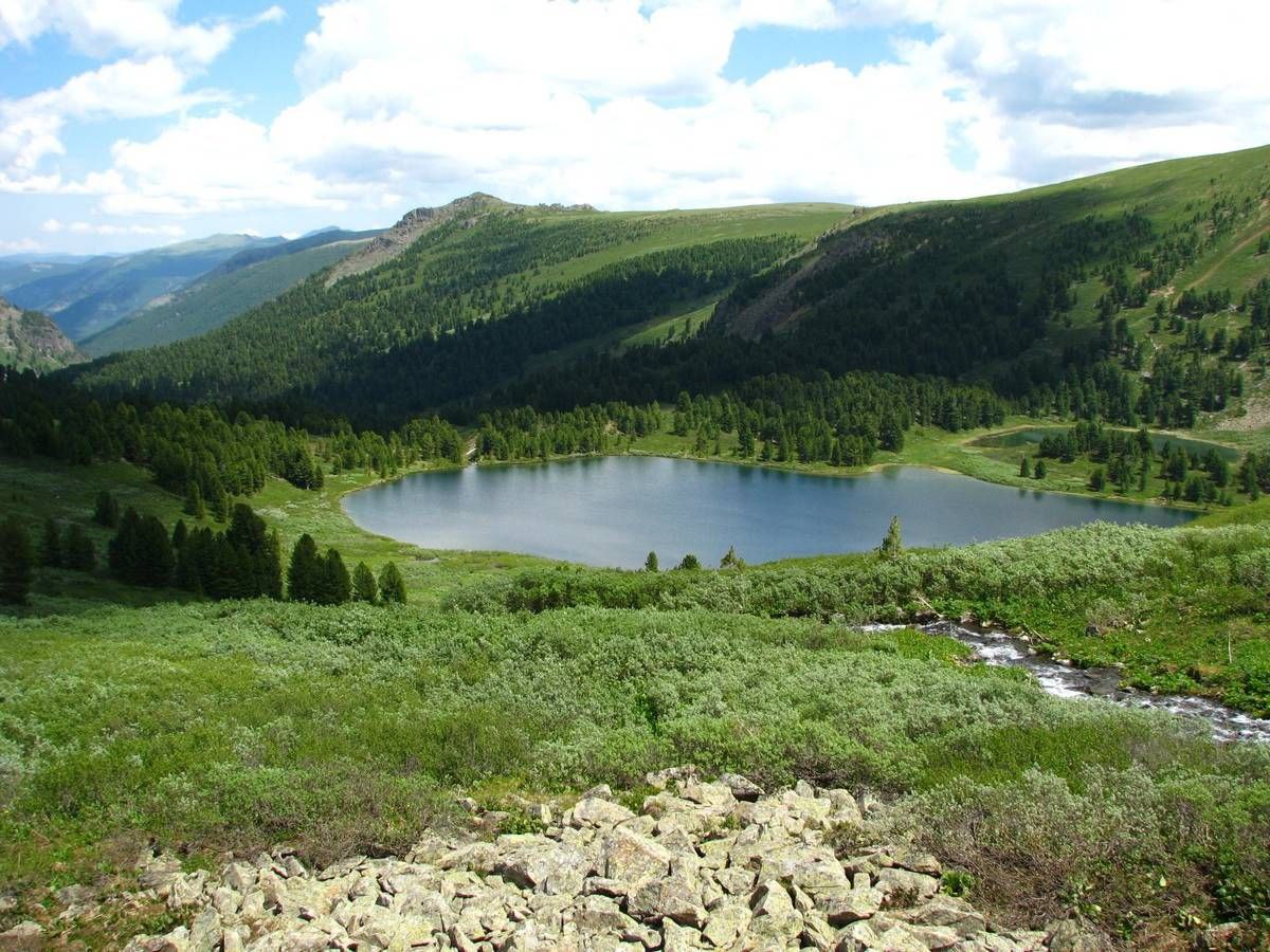 Озеро Манас горный Алтай