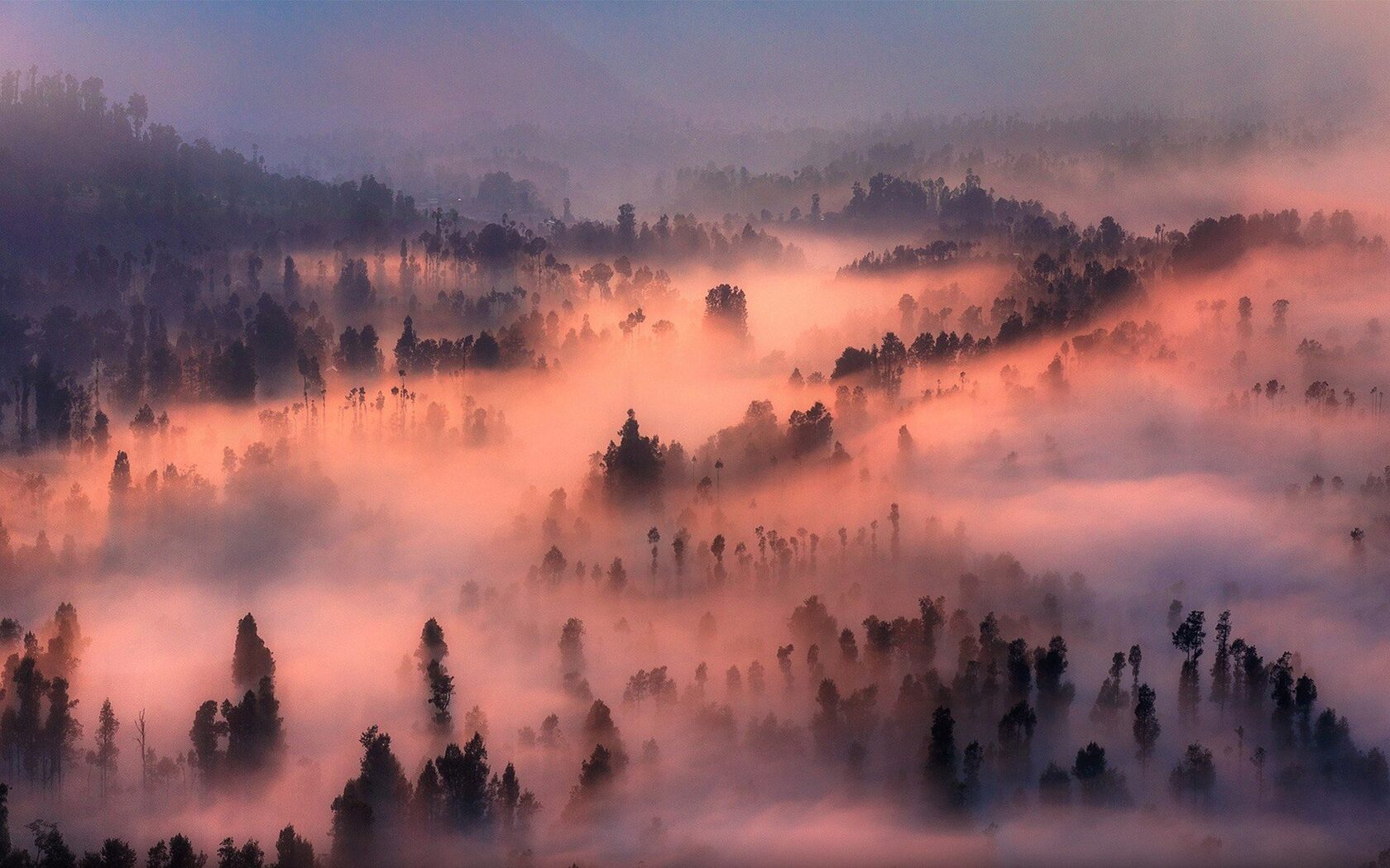 Mystic Hills Глэмпинг на склоне