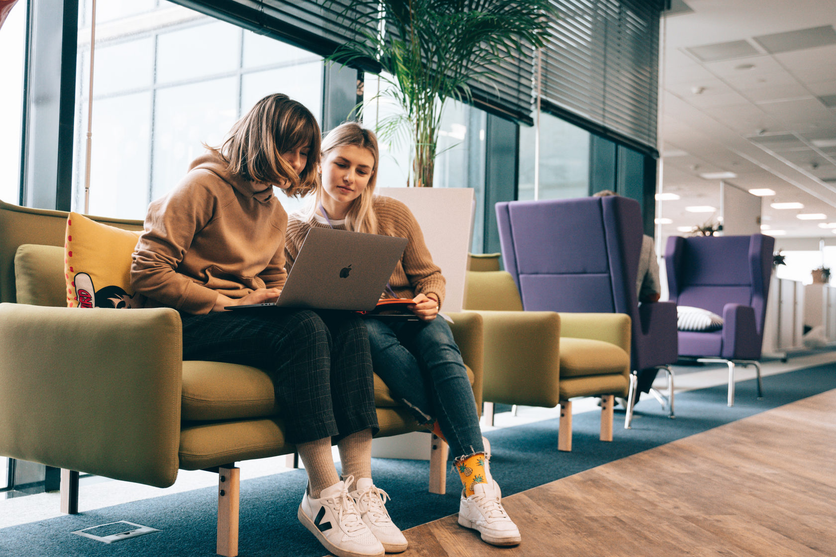 москва 24 авито