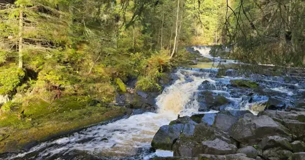водопады в карелии