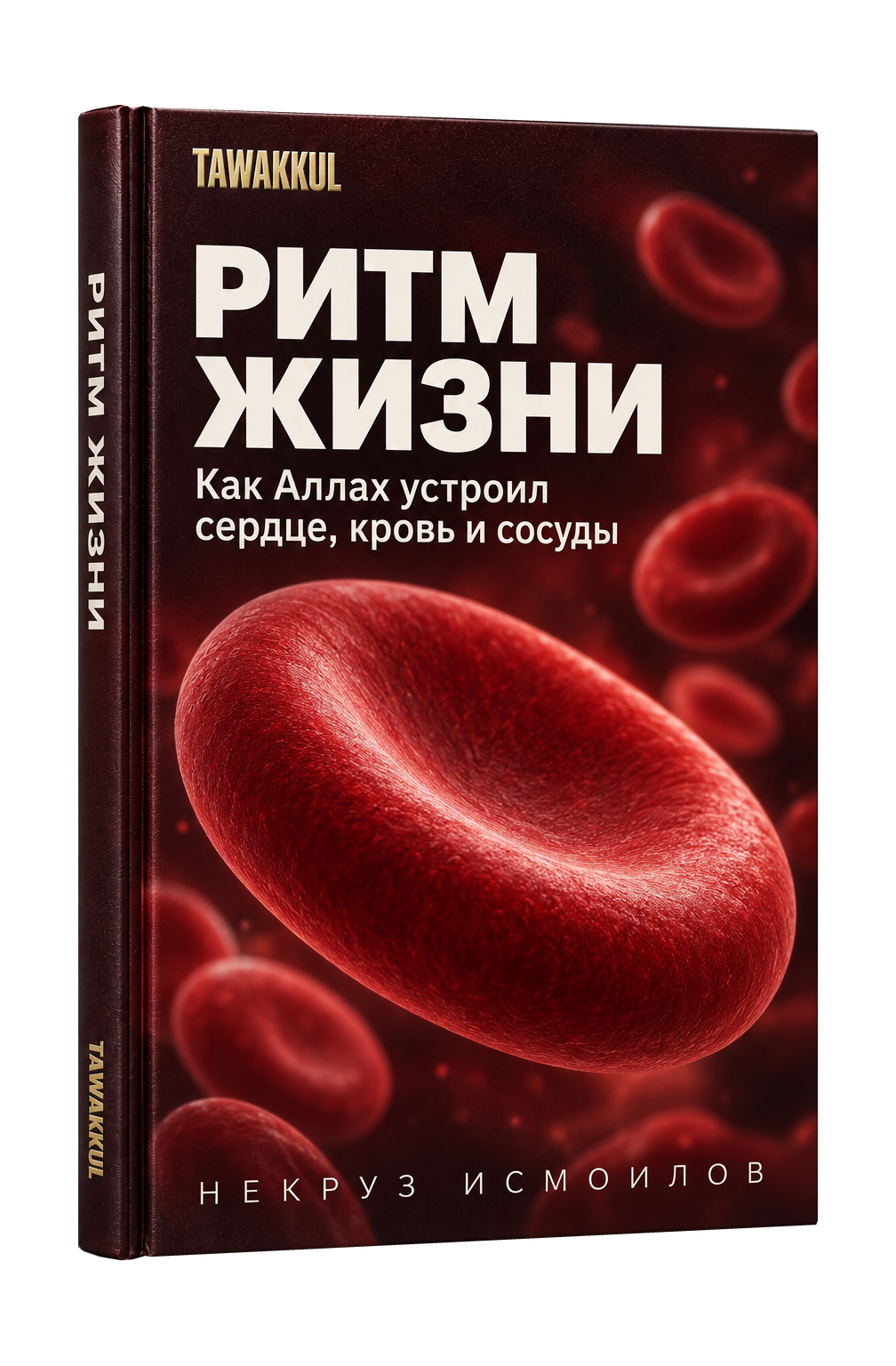 Ритм жизни