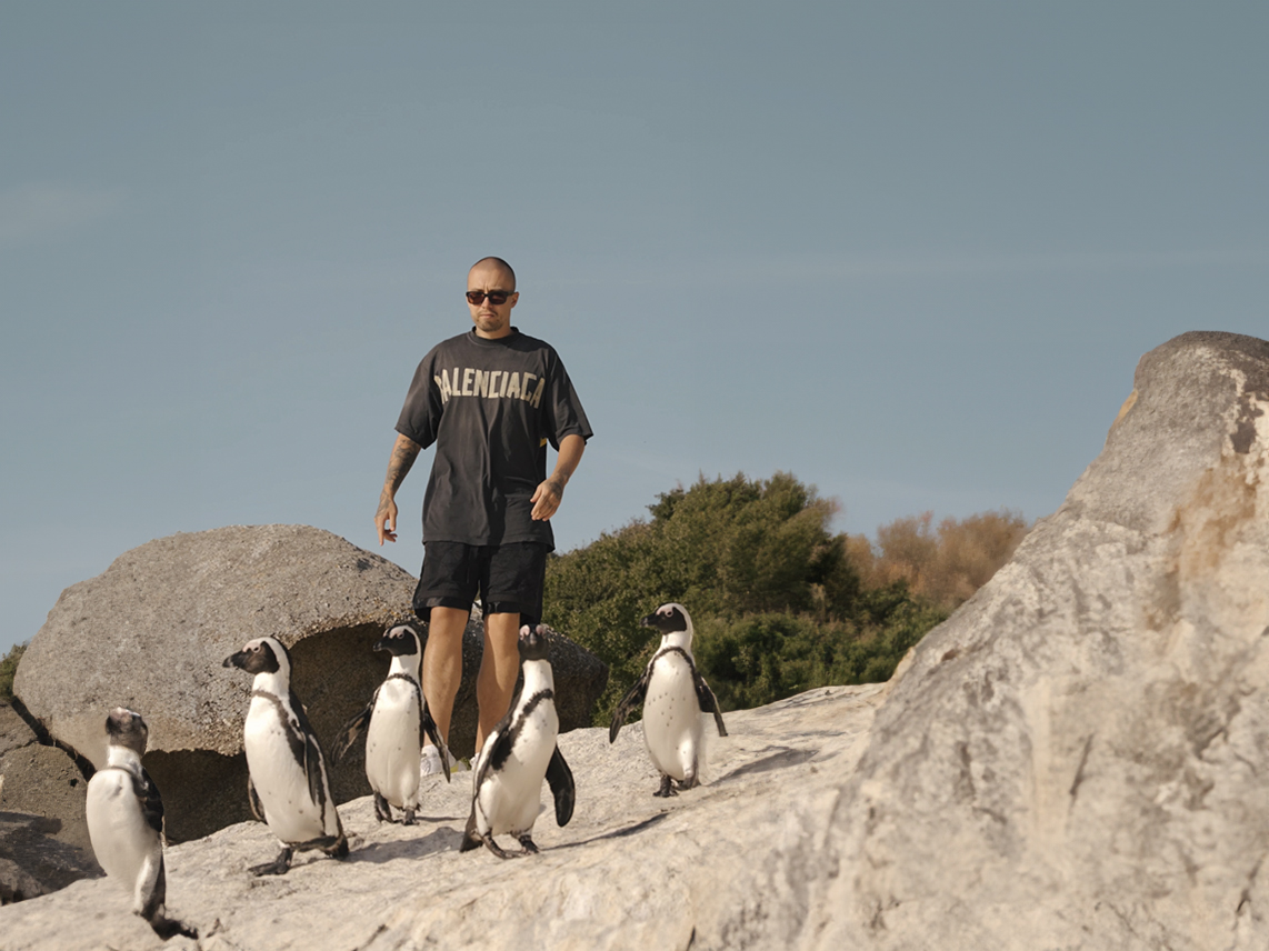 Пингвины на пляже в кейптауне 