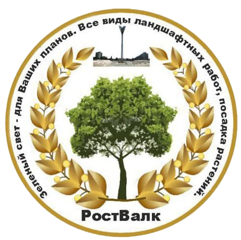 Контакты