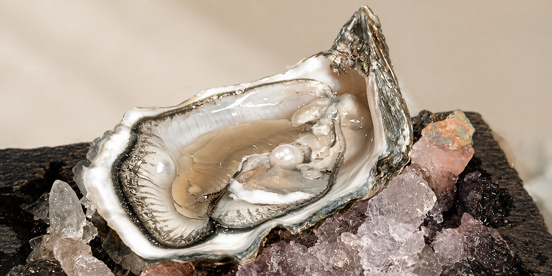 pearl formation inside oyster natural nacre layers organic gemstone