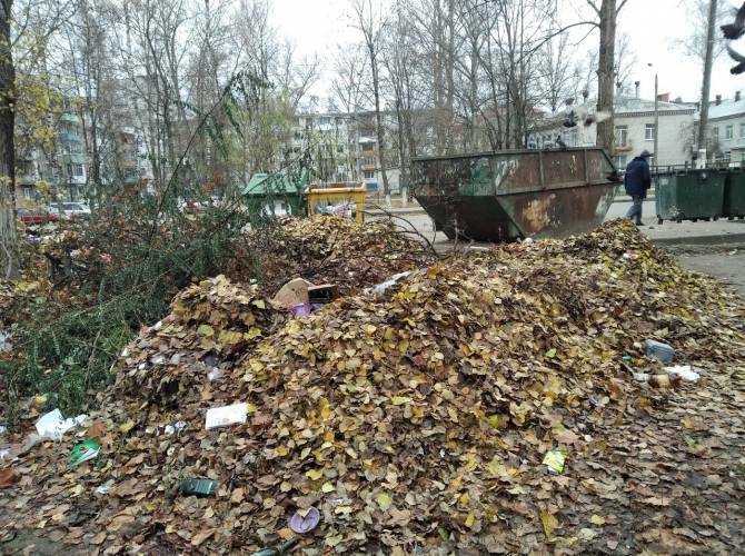 Вывоз листвы