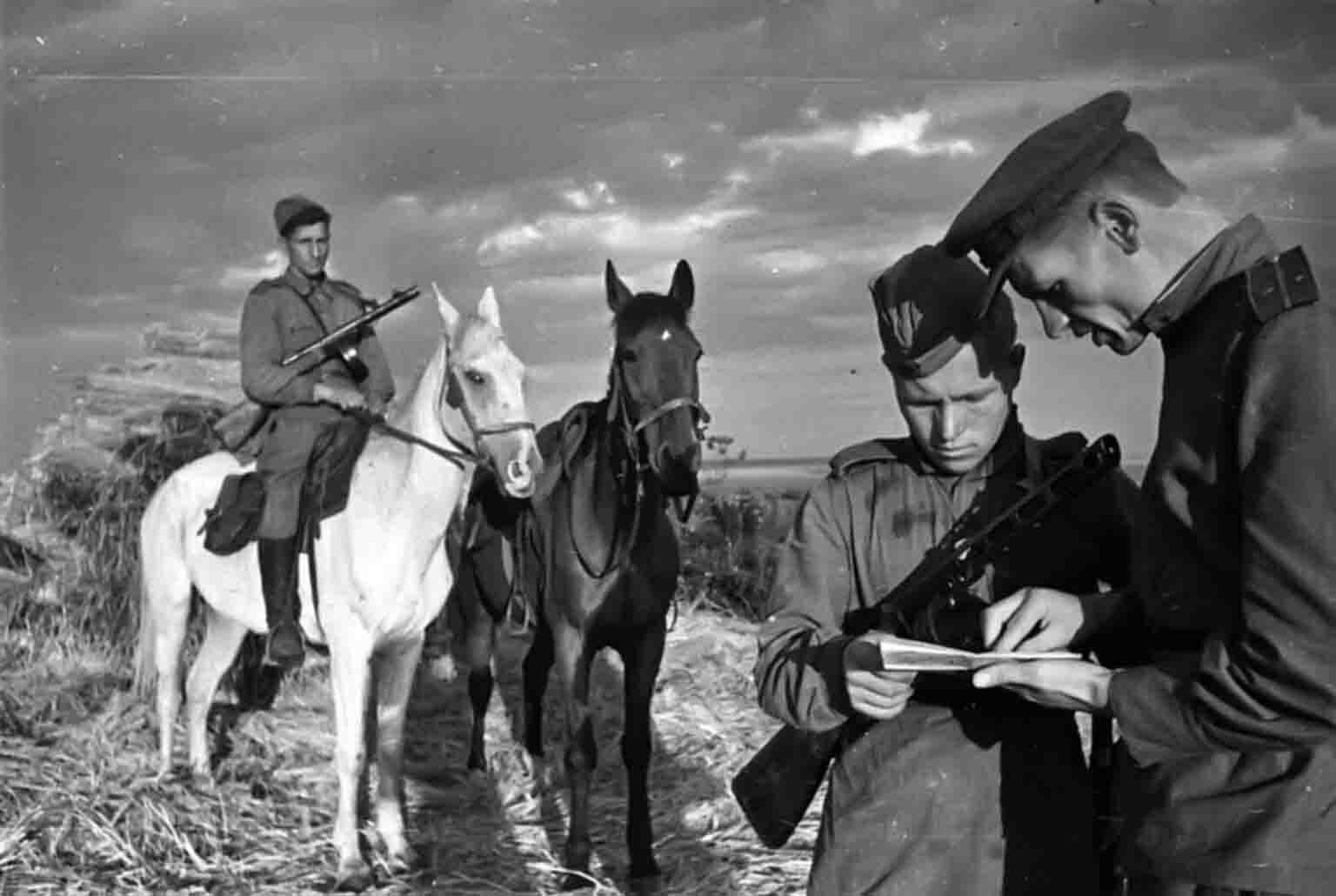 Сорок отечественный. Лошади в ВОВ 1941-1945 гг. Советская кавалерия в Великой Отечественной войне. Лошади в годы Великой Отечественной войны. Конная кавалерия на войне 1941-1945.