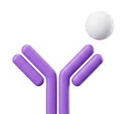 Custom Monoclonal Antibody Discovery Services