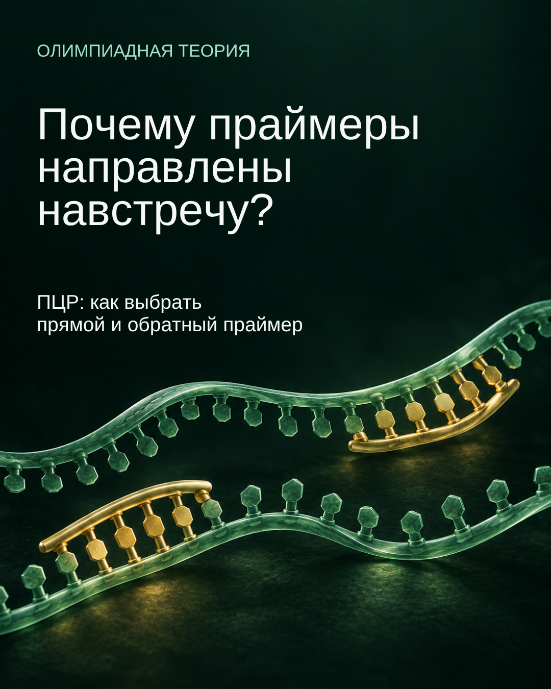 Обложка Med.Biology: почему праймеры направлены навстречу; две цепи ДНК с праймерами