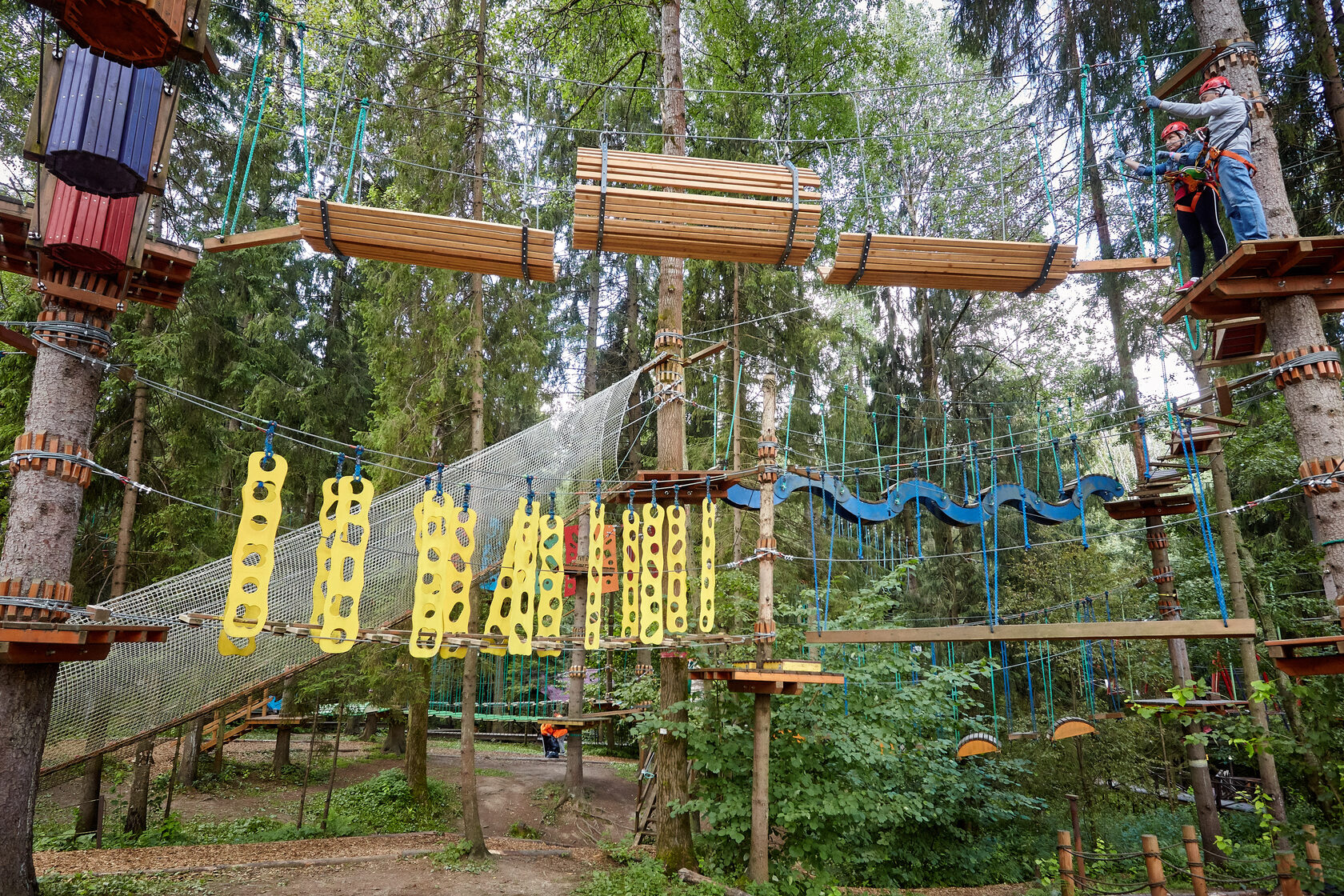 будущее веревочных парков