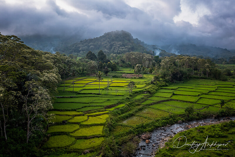 Photo Tour To Indonesia 2024   DJI 0028 HDR 800 