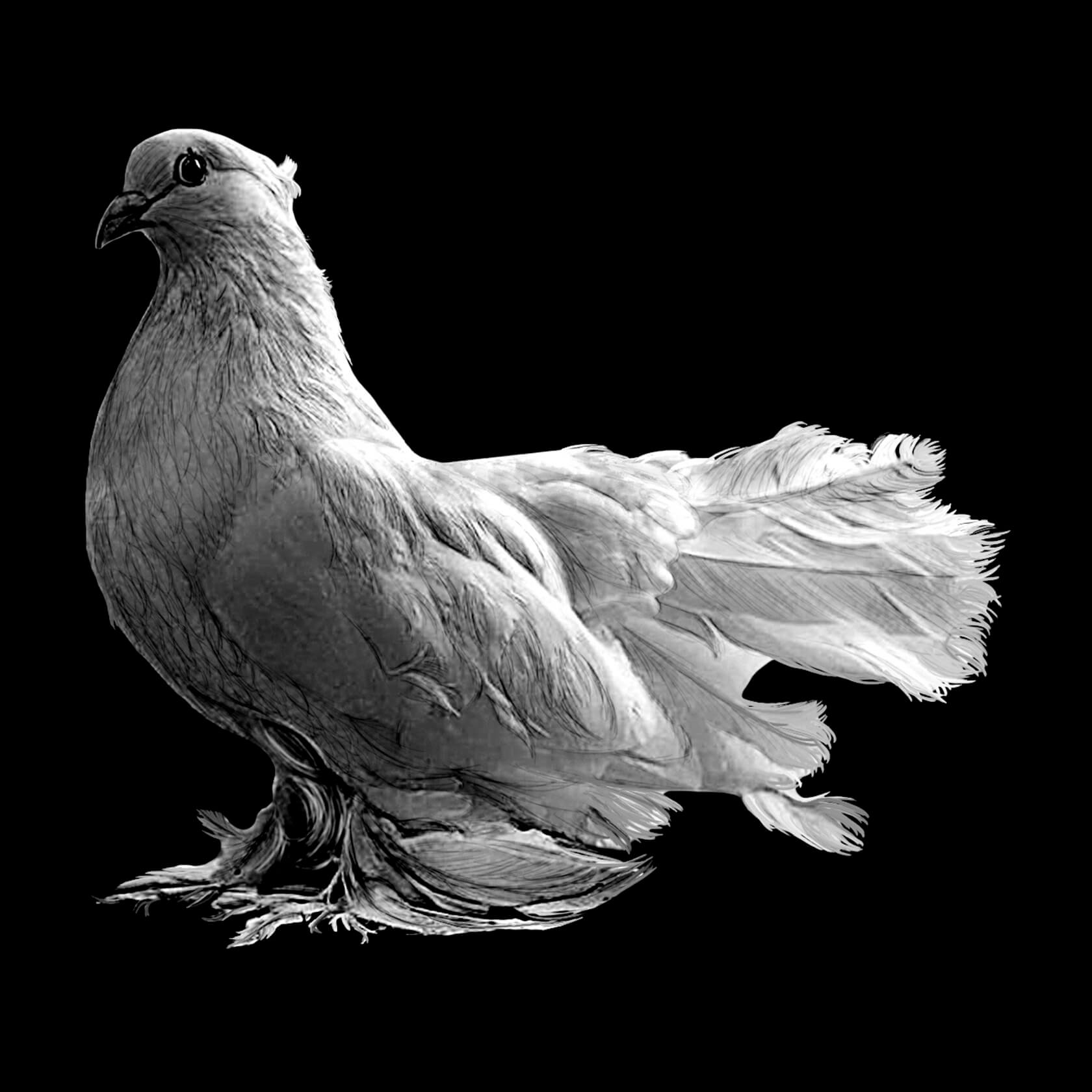 птицы для гравировки. птичка для гравировки. изображения для гравировки. гравировка птицы. птичка на ветке на памятник.