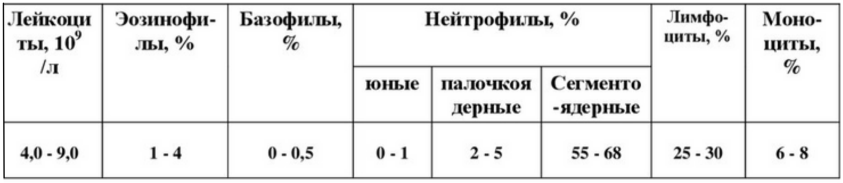 Лейкоцитарная формула