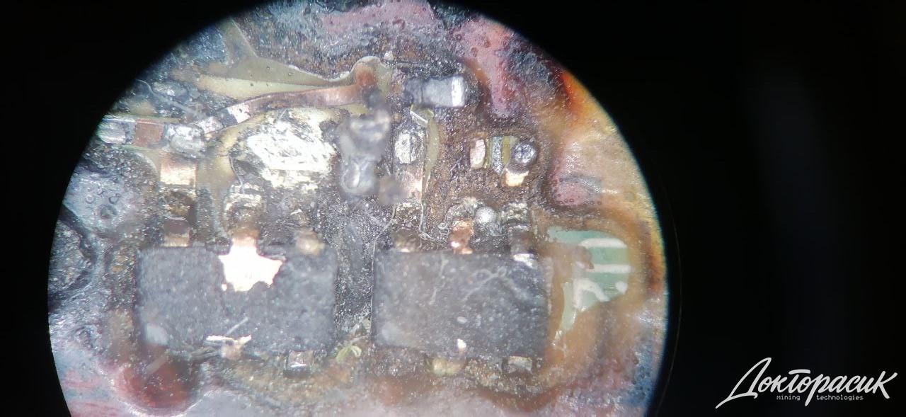 Лаборатория компании 