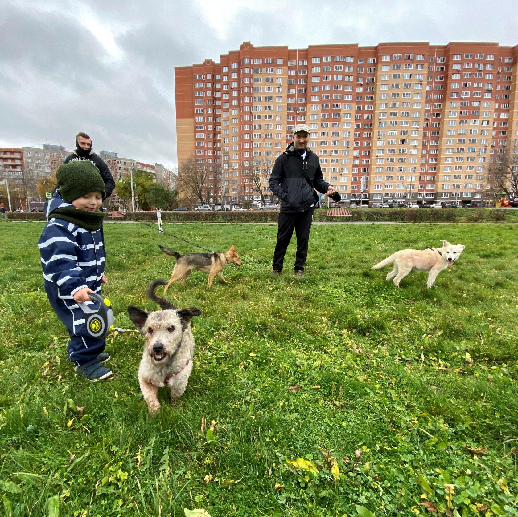 Зоотель Лемур (Воскресенск)