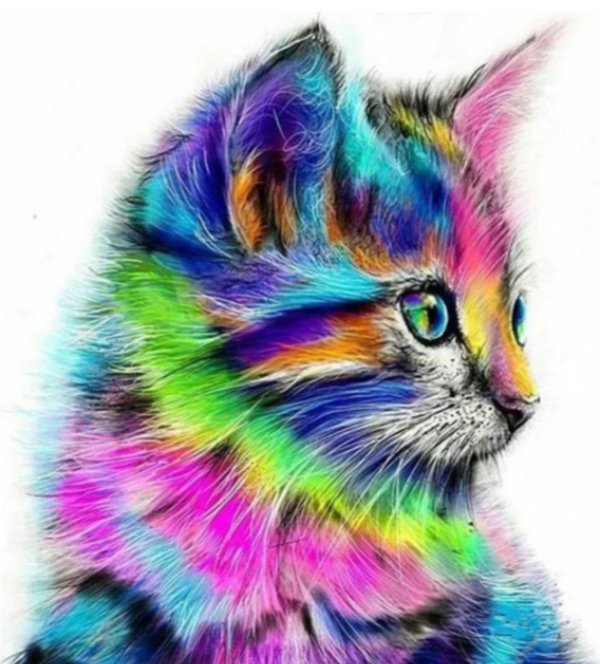Котик правополушарный