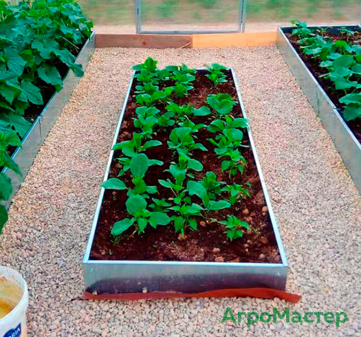 Усиленные грядки и клумбы со скидкой 25% в Москве и области