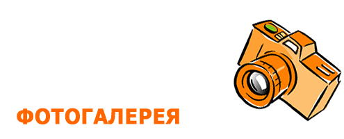 Фотогалерея 