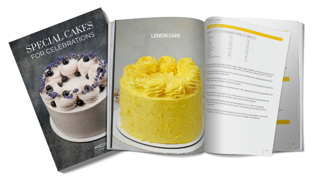 Special Cakes for Celebrations Recipe Book bundle
