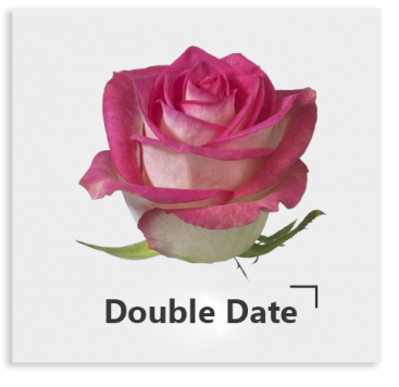 Бело-розовая Double Date