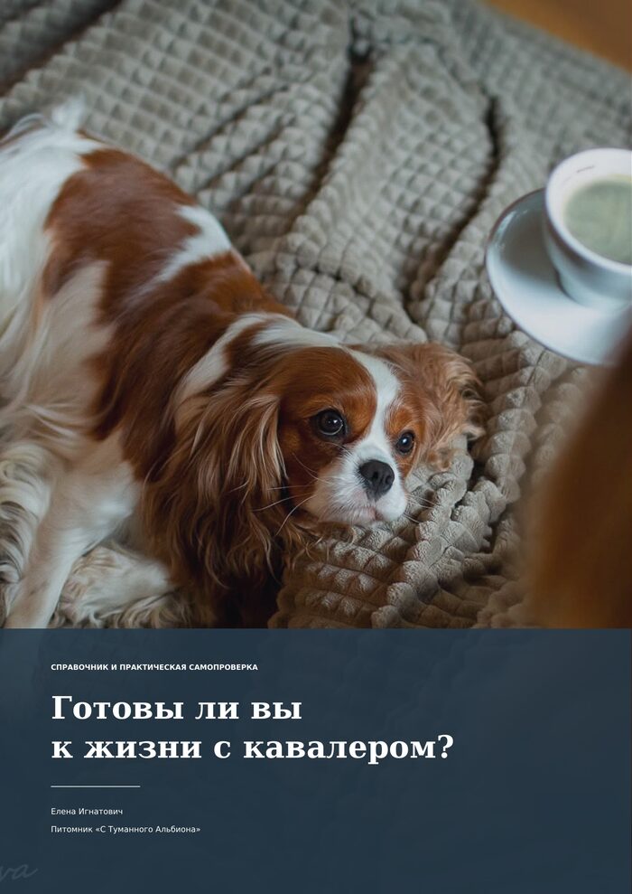 Пособие «Готовы ли вы к жизни с кавалером?» — Елена Игнатович