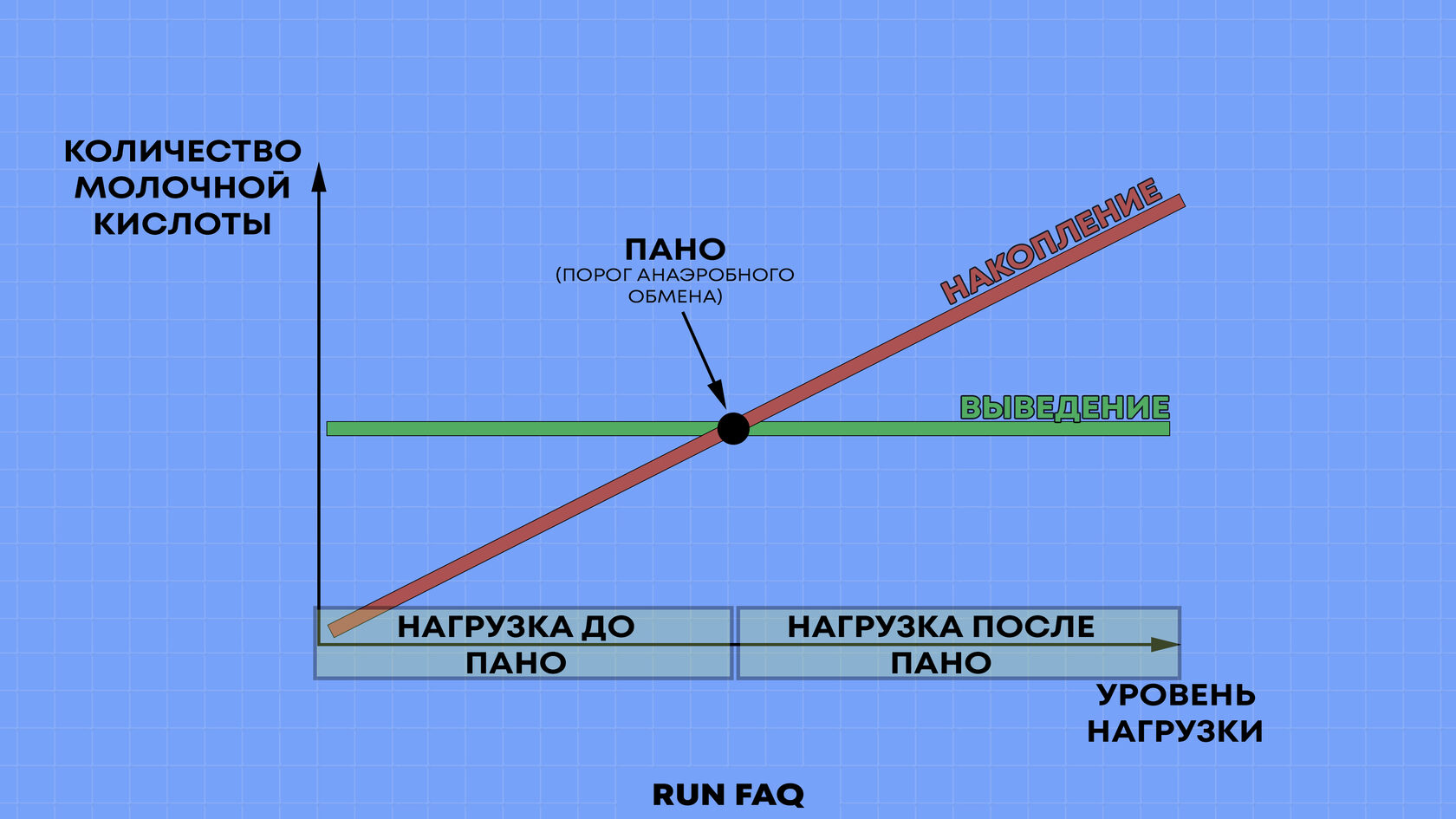 Как человек вырабатывает ЭНЕРГИЮ? Что такое ПАНО? МПК (VO2MAX)? Пульсовые  зоны? Аэроб и анаэроб?