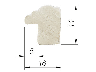 срез акварель