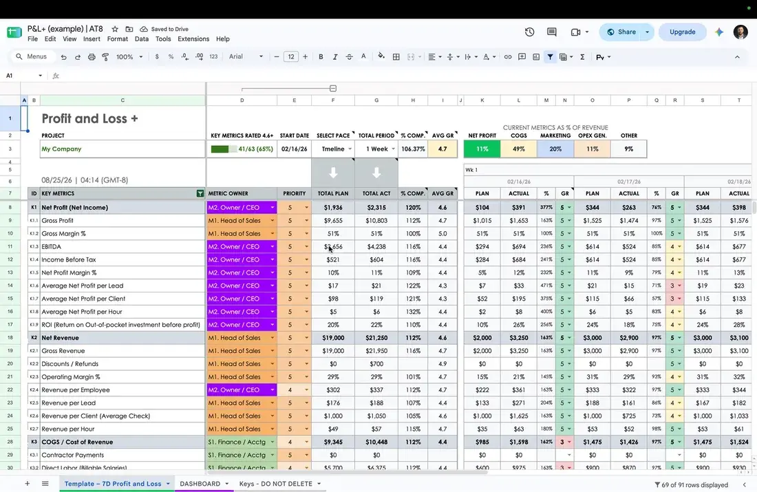 P&L CEO Dashboard in Google Sheets