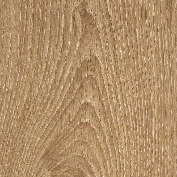 Структура дерева дуб