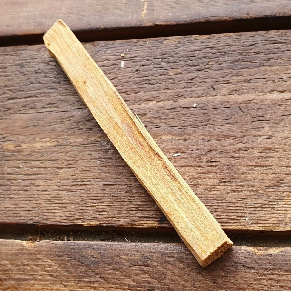 Seeds of Palo Santo Incense 1 stick 5-8 grams — 10 pcs