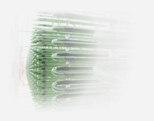 Купить живую хлореллу на кремниевой биосреде в интернет магазине ...