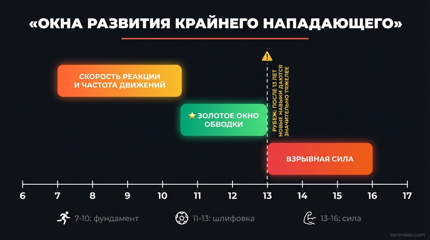 Окна развития крайнего нападающего по возрасту