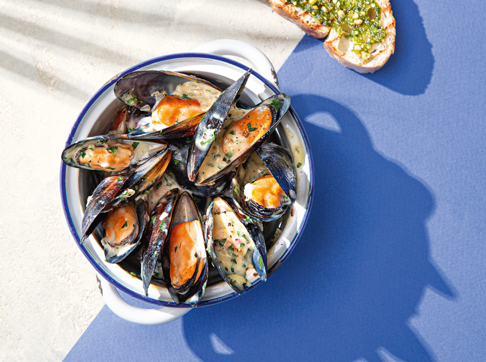 мидии в створках дор блю