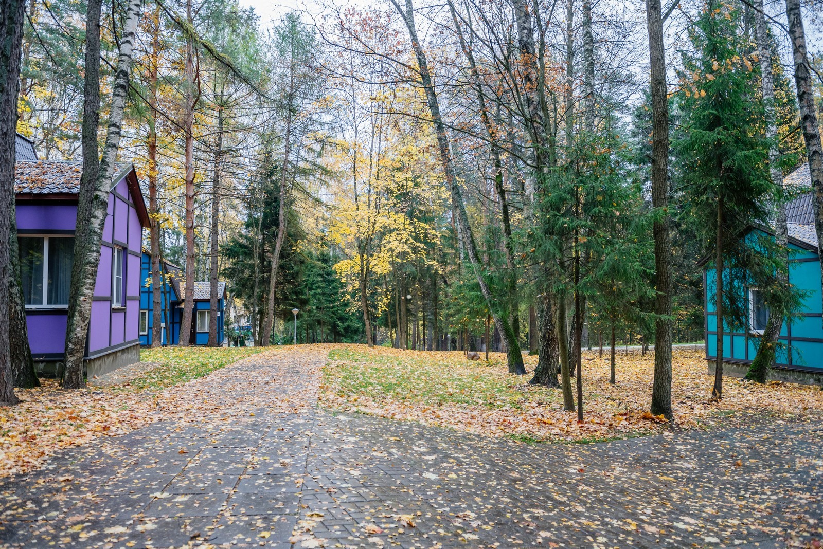 звенигородский санаторий