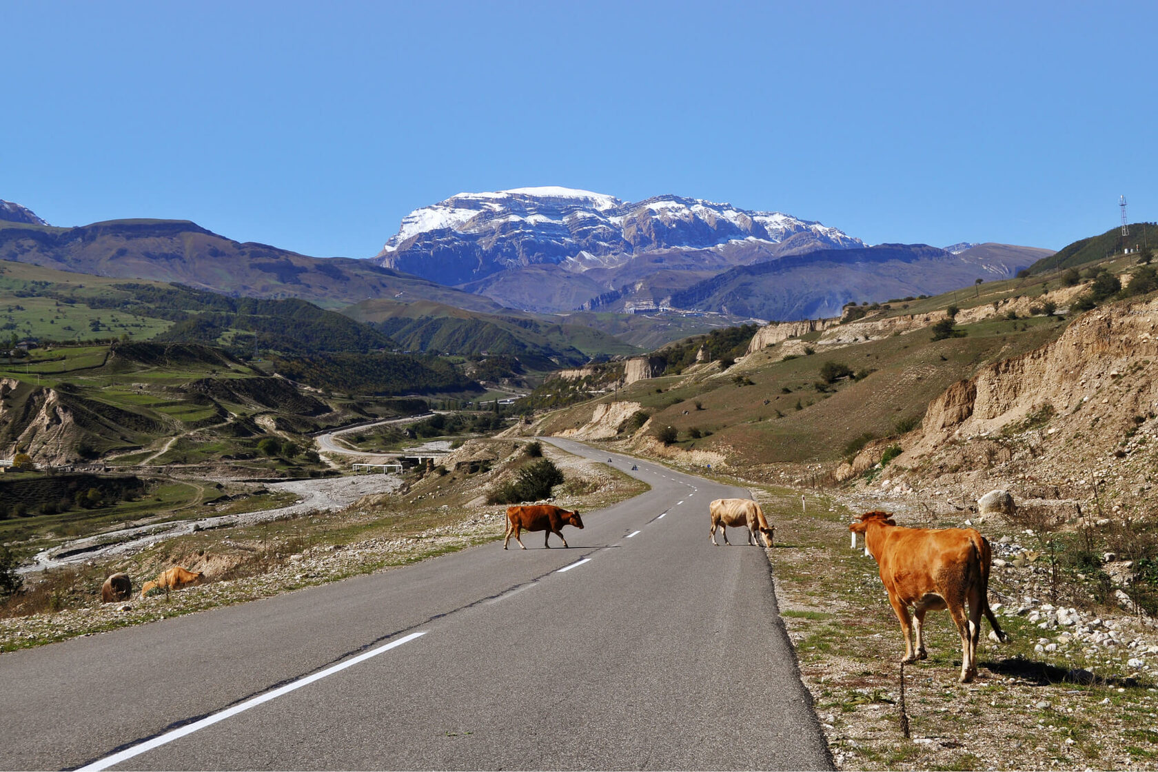 Ледник в районе замка Тарасп, Скуоль, кантон Граубюнден, 2021
