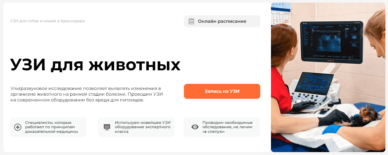 УЗИ для животных в Краснодаре - Для кошек, собак цена от 600 руб.