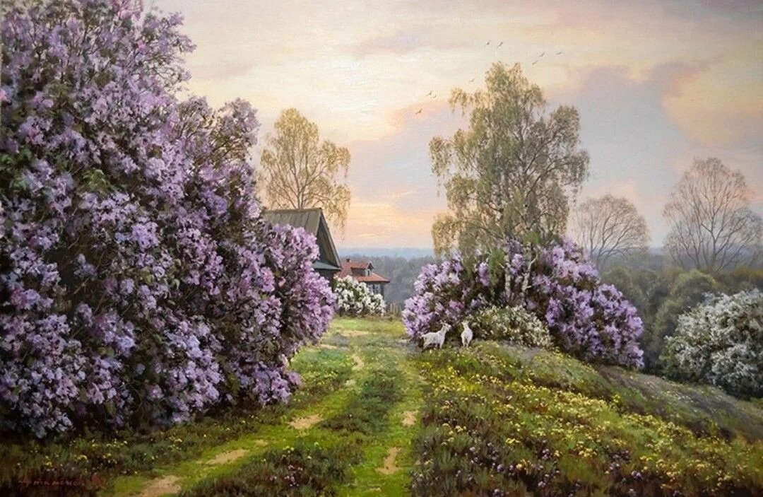 Сирень у дома