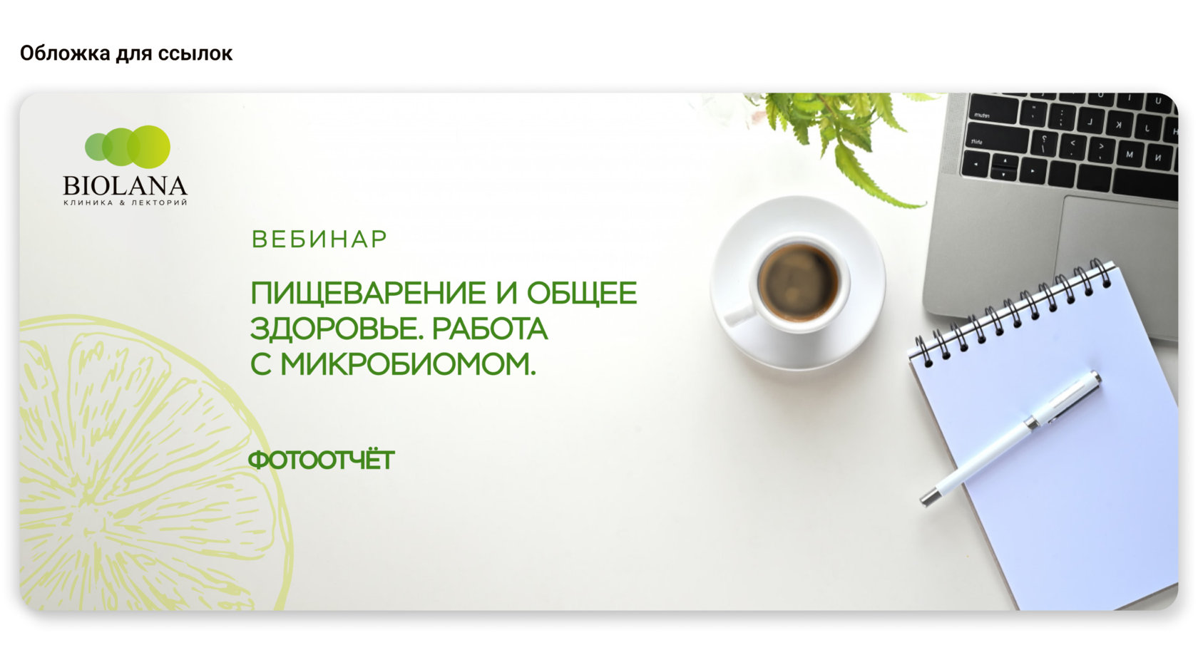 Визуальное оформление ссылок для BIOLANA в социальных сетях
