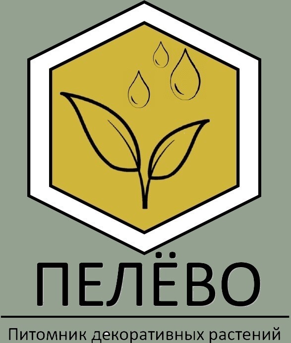  Питомник Пелёво 