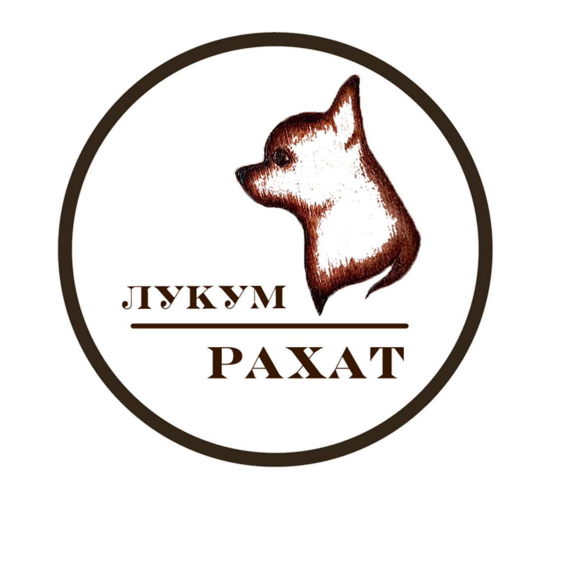 Дом, где живут маленькие собачки с характером
