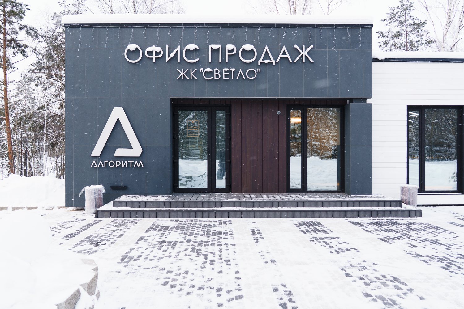 Входная группа офиса продаж: двустворчатая дверь, тёмная облицовка, крыльцо