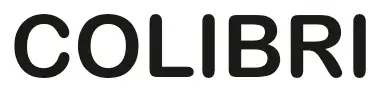 Логотип до доработки: Colibri