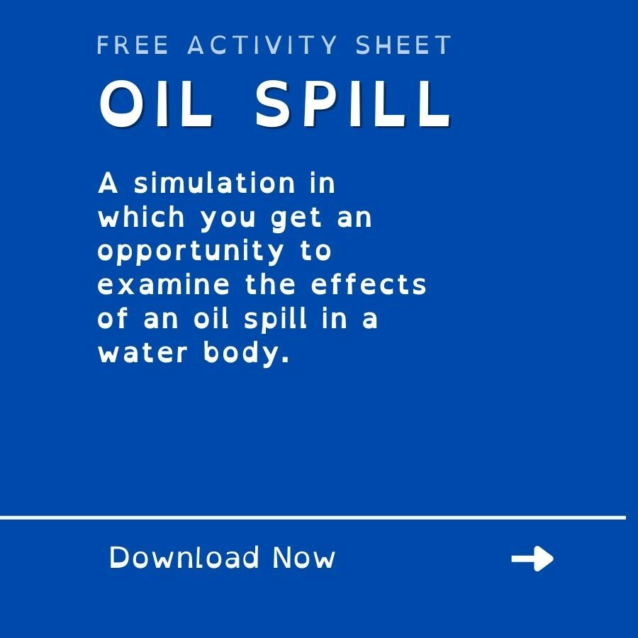 FREE OIL SPILL ACTIVITY