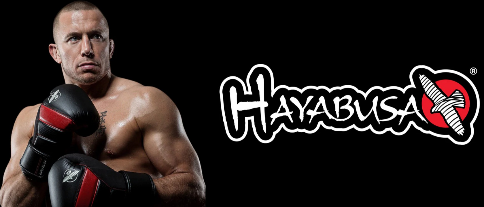 Где купить Hayabusa