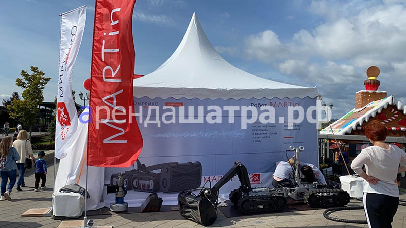 презентация робота MARTin в Казани, фото&nbsp;4
