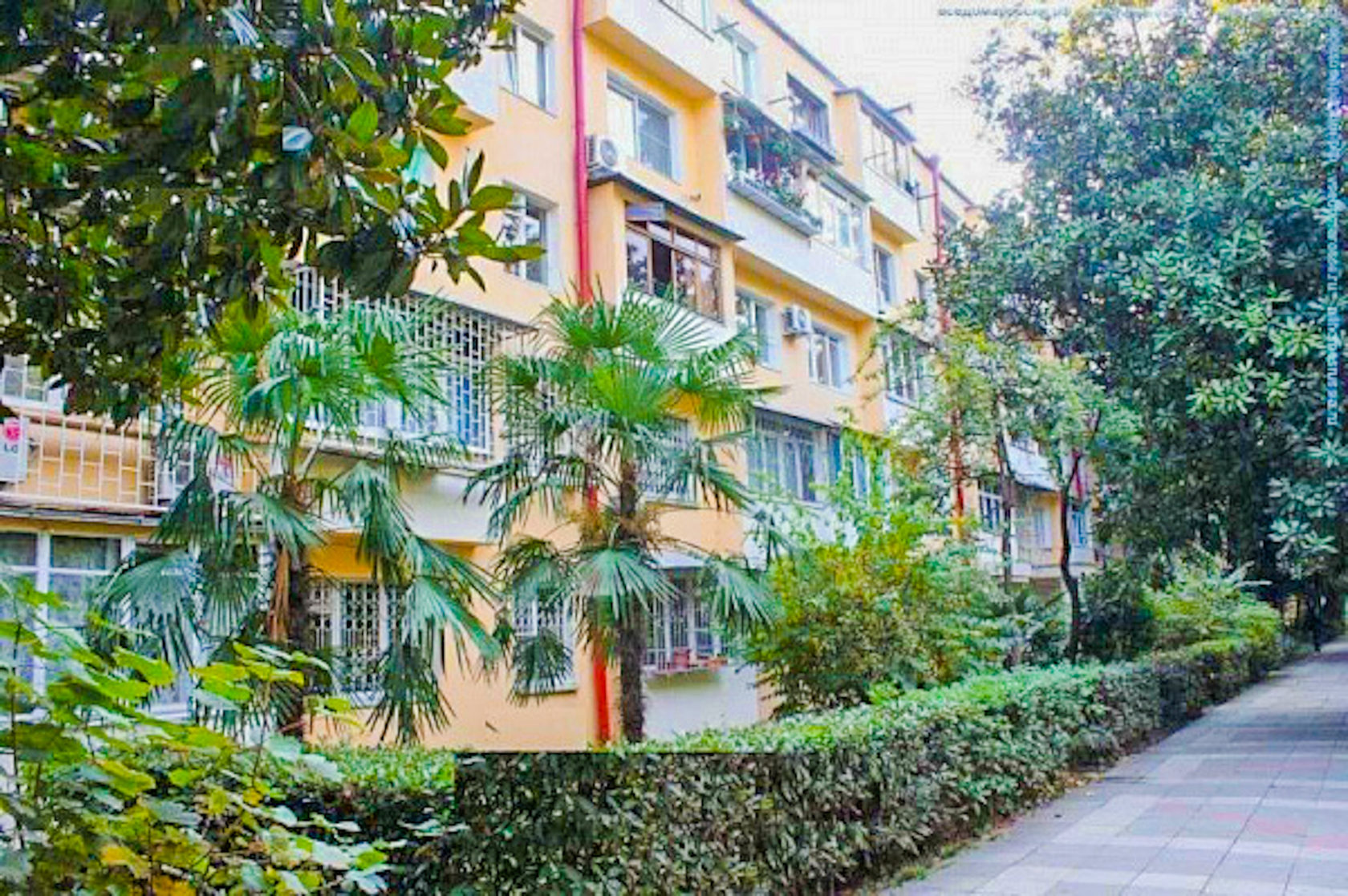 Гагарина, 55в. Сочи улица гагарина. Гагарина 42 сочи. Гагарина 10 сочи. Гагарина 72.