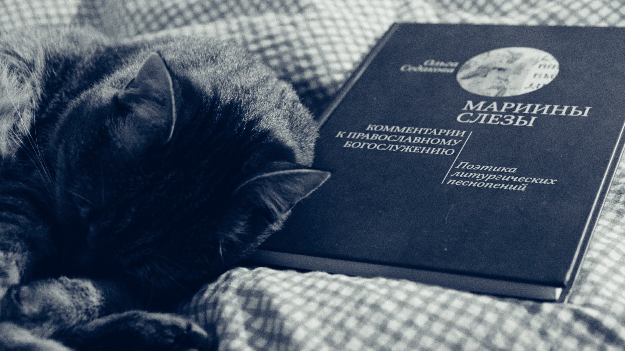 Седакова Ольга розыгрыш